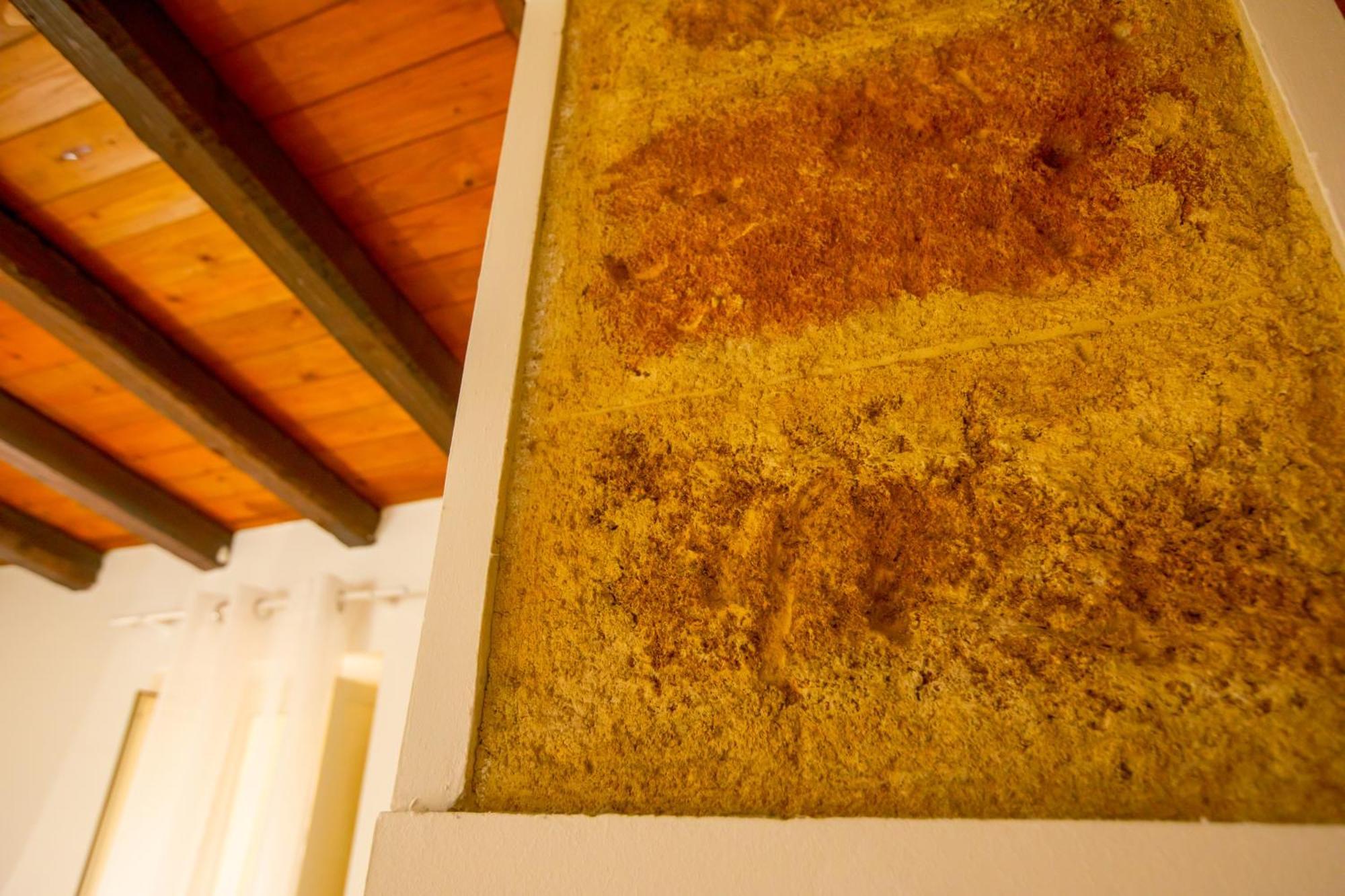דירות פלרמו Casa D'Amari מראה חיצוני תמונה